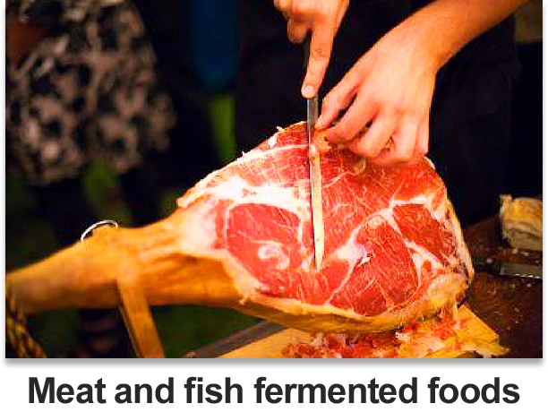 Meat and fish fermented foods